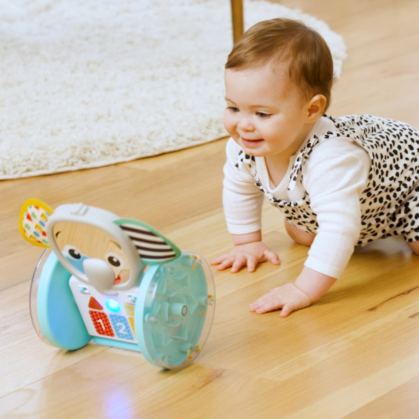 Baby Einstein - Jucarie interactiva, Chase & Tap Earl