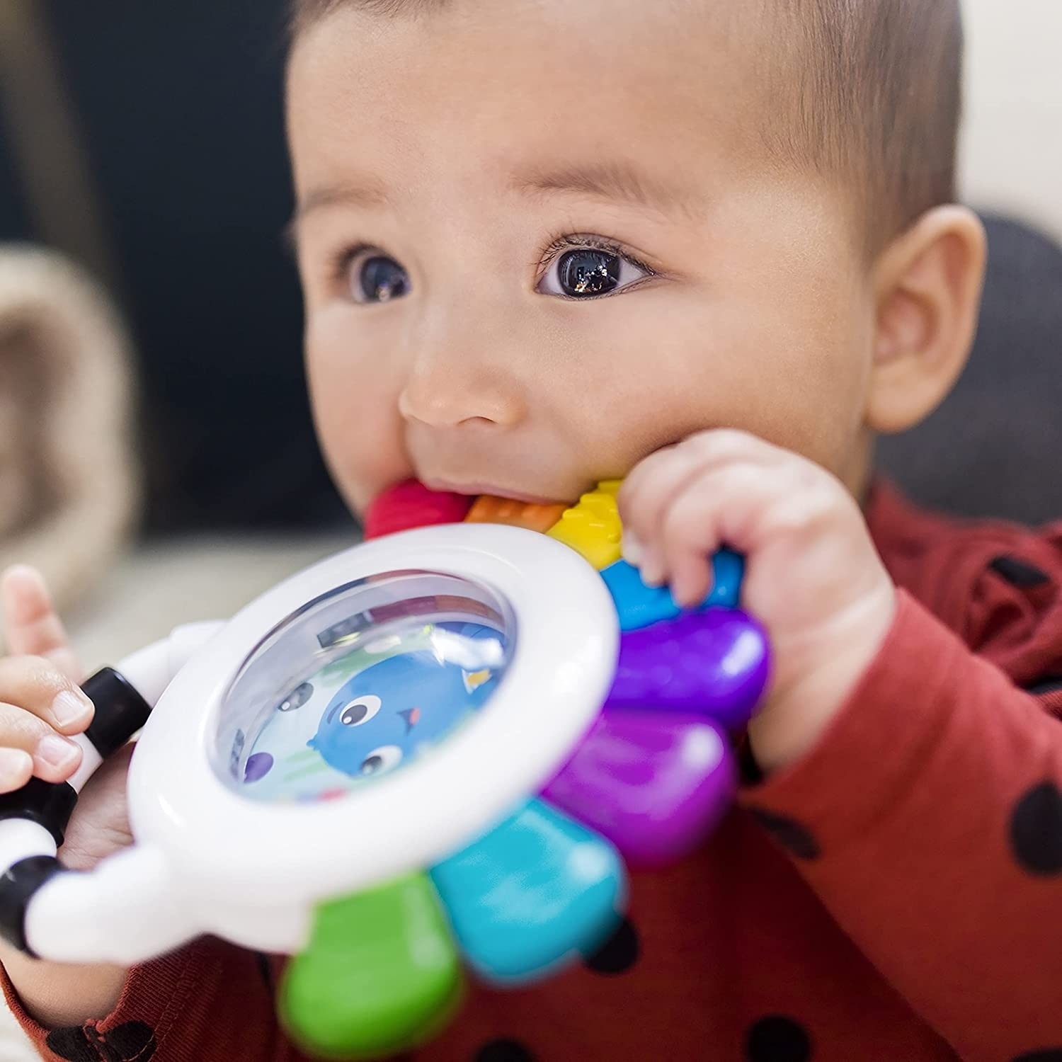 Baby Einstein - Jucarie multisenzoriala de dentitie Caracatita vesela