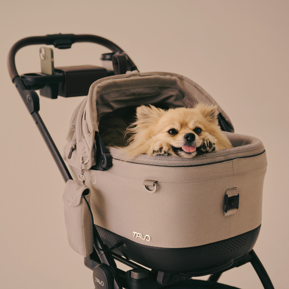 Cadru carucior Tavo Roscoe Trek Cognac pentru sistemul de protectie Maeve, Dupree, Hendrick