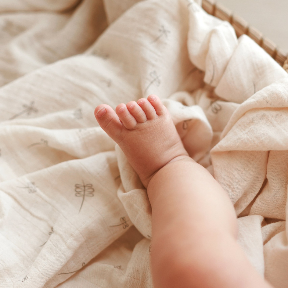 Muselina multifunctionala din bumbac 100% organic, ONINO SNUGGLE.me, Pure Life, x1 bucata, 120 x 120 cm, certificata GOTS