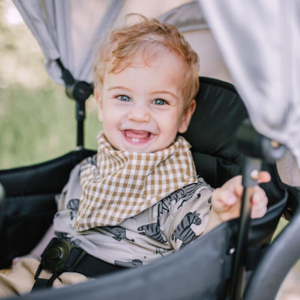 BabyGo - Carucior de transport tip vagon Cozy Rider 