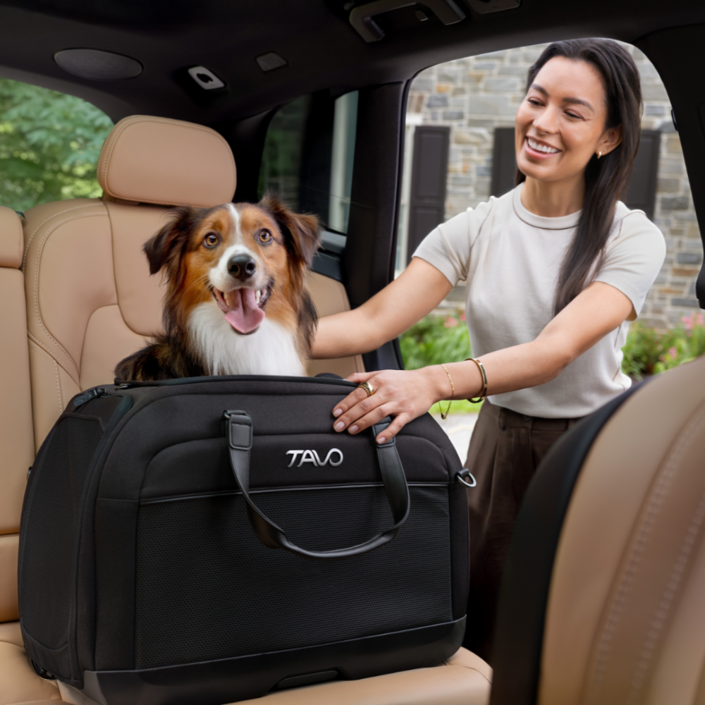 Sistem de transport si protectie auto pentru Animale de Companie tip geanta Tavo Hendrick cu sistem de prindere Isofix, max 20.4 kg, Onyx
