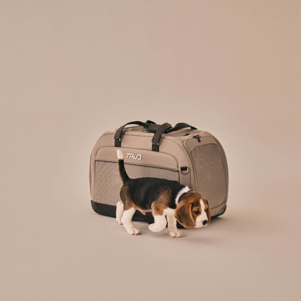 Sistem de transport si protectie auto pentru Animale de Companie tip geanta Tavo Hendrick cu sistem de prindere Isofix, max 20.4 kg, Tawny