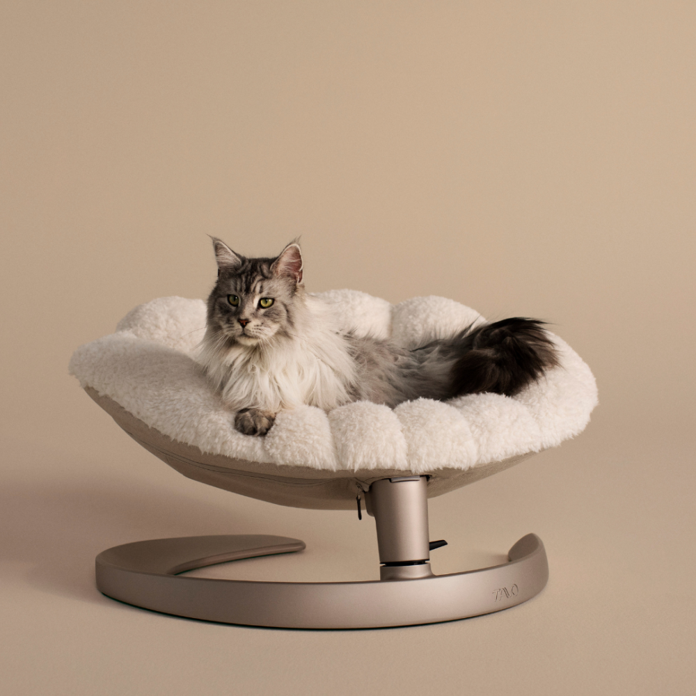 Pat si balansoar premium pentru animale de companie Tavo Shell, Latte
