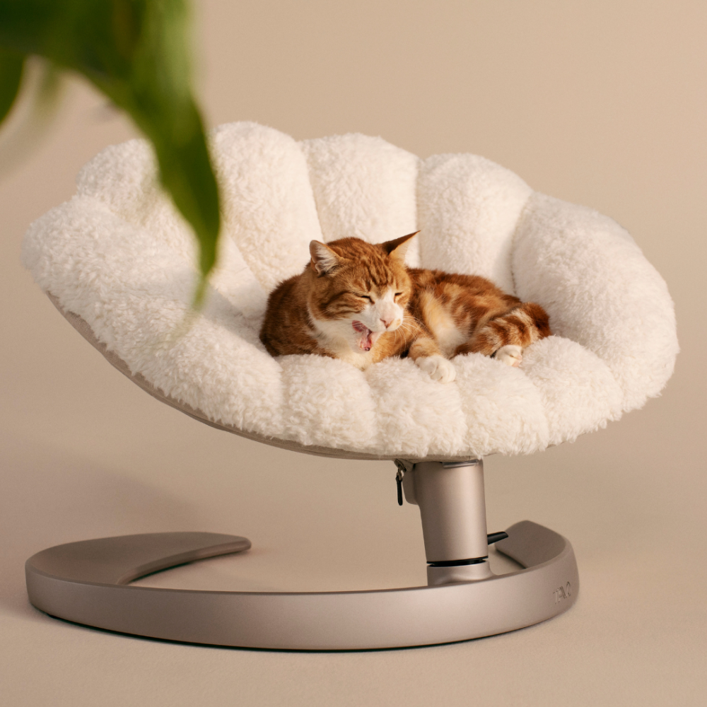 Pat si balansoar premium pentru animale de companie Tavo Shell, Latte