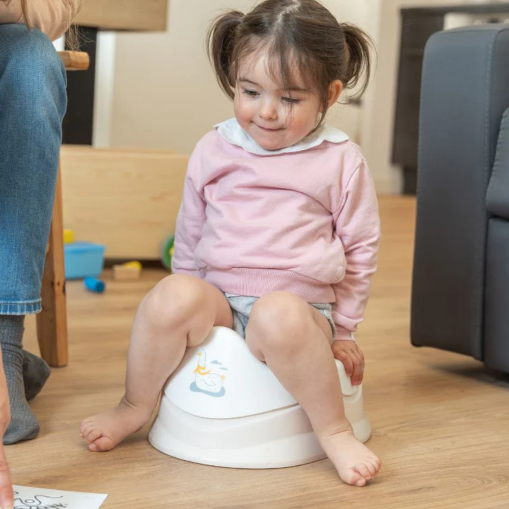 Olita ergonomica Badabulle cu vas detasabil, Pescarus