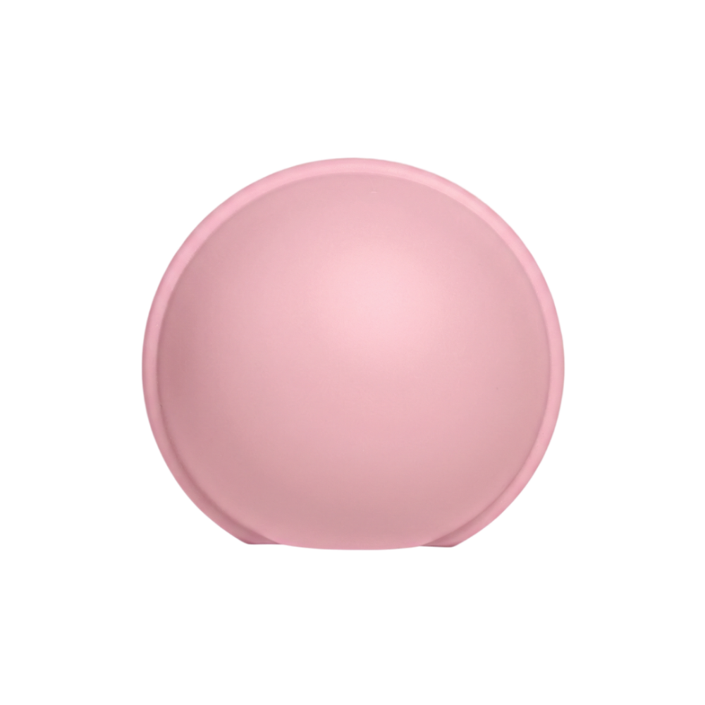 Cutie pentru suzeta BIBS Pacifier Case Mini, Baby Pink