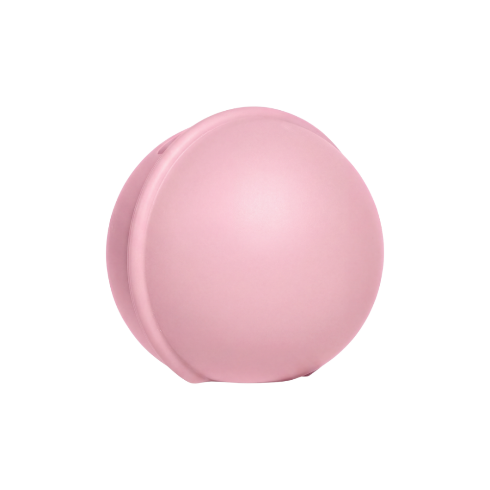 Cutie pentru suzeta BIBS Pacifier Case Mini, Baby Pink