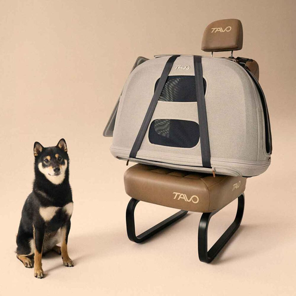 Sistem de transport si protectie pentru animale de companie, testat la impact, Tavo Crispin Medium Onyx, max 25 kg