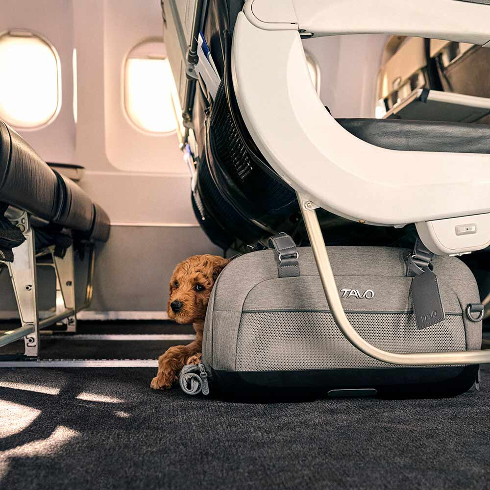 Sistem de transport si protectie Avion/Auto pentru Animale de Companie tip geanta Tavo Dupree II cu sistem de prindere Isofix, Merle