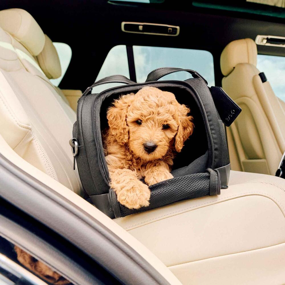Sistem de transport si protectie Avion/Auto pentru Animale de Companie tip geanta Tavo Dupree II cu sistem de prindere Isofix, Merle