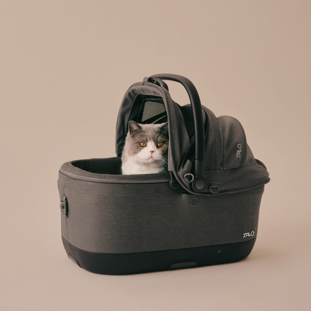 Sistem de transport si protectie pentru animale de companie Tavo Maeve ISO6X Wind, cu Isofix si sistem de ventilatie integrate, Ashen, max 18.1 kg