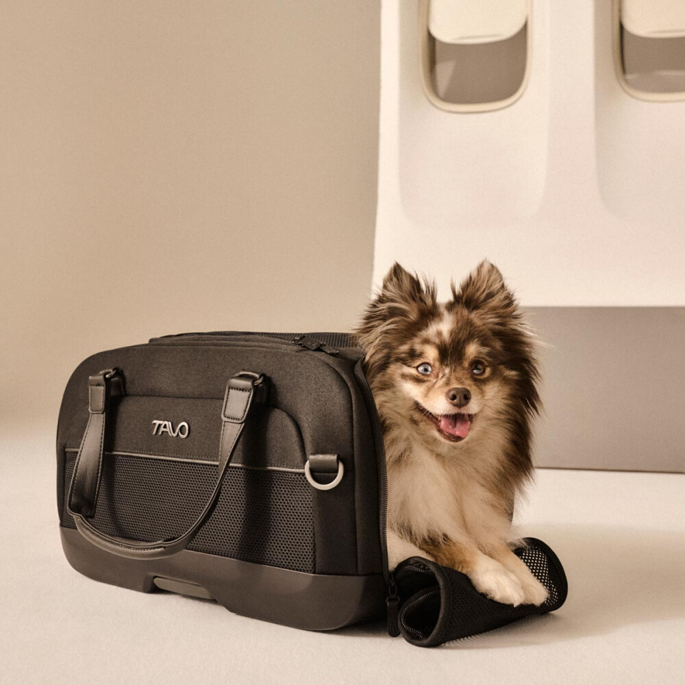 Sistem de transport si protectie Avion/Auto pentru Animale de Companie tip geanta Tavo Dupree II cu sistem de prindere Isofix, Onyx