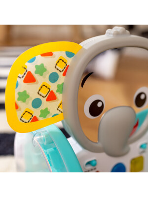 Baby Einstein - Jucarie interactiva, "Chase & Tap Earl"