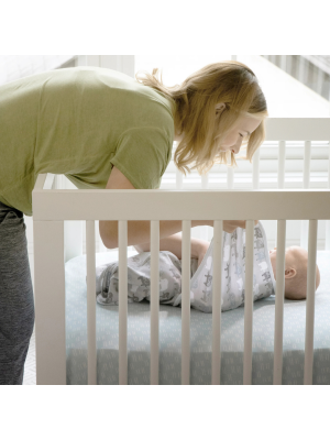 Set 2 sisteme de infasare Ingenuity Swaddle Me 0-3 luni, colectia Monogram, Born Free