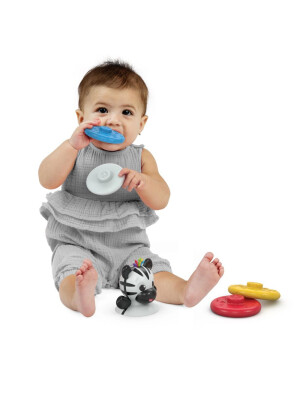 Baby Einstein - Jucarie zornaitoare si dentitie Zen, fara BPA