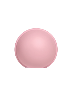 Cutie pentru suzeta BIBS Pacifier Case Mini, Baby Pink