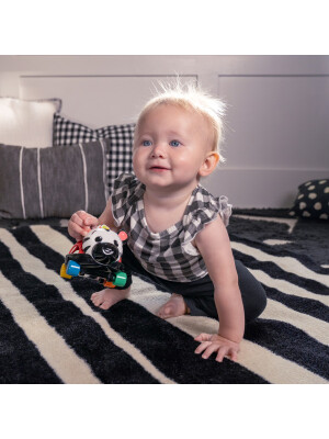 Baby Einstein - Masinuta zornaitoare "Curious Car Zen Oball"