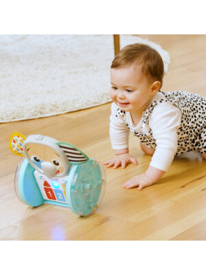 Baby Einstein - Jucarie interactiva, "Chase & Tap Earl"