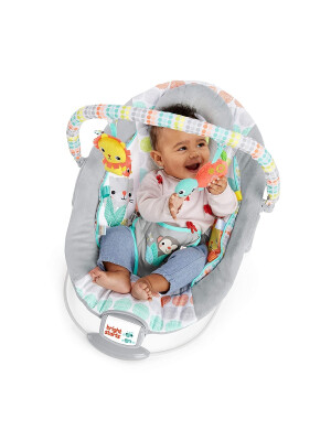  Leagan si balansoar pentru copii Bright Starts, Whimsical Wild