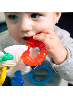 Jucarie de Dentitie Baby Einstein Ocean Explorers Sea of Sensory
