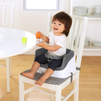 Ingenuity – Booster Toddler Slate