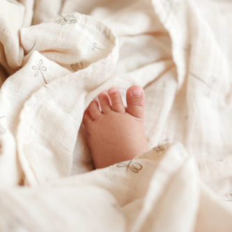 Muselina multifunctionala din bumbac 100% organic, ONINO SNUGGLE.me, Pure Life, x1 bucata, 120 x 120 cm, certificata GOTS