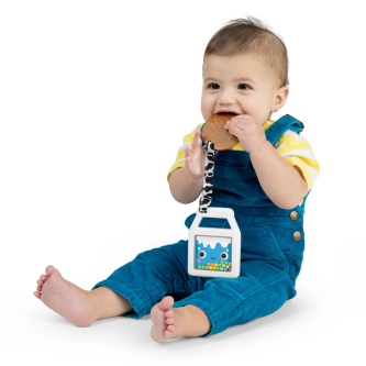 Jucarie de dentitie 2 in 1 cu zornaitoare Bright Starts Cookies & Teethe