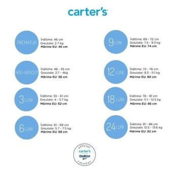 Carter’s Set 2 piese tricou & colanți Floral