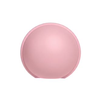 Cutie pentru suzeta BIBS Pacifier Case Mini, Baby Pink