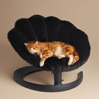 Pat si balansoar premium pentru animale de companie Tavo Shell, Onyx