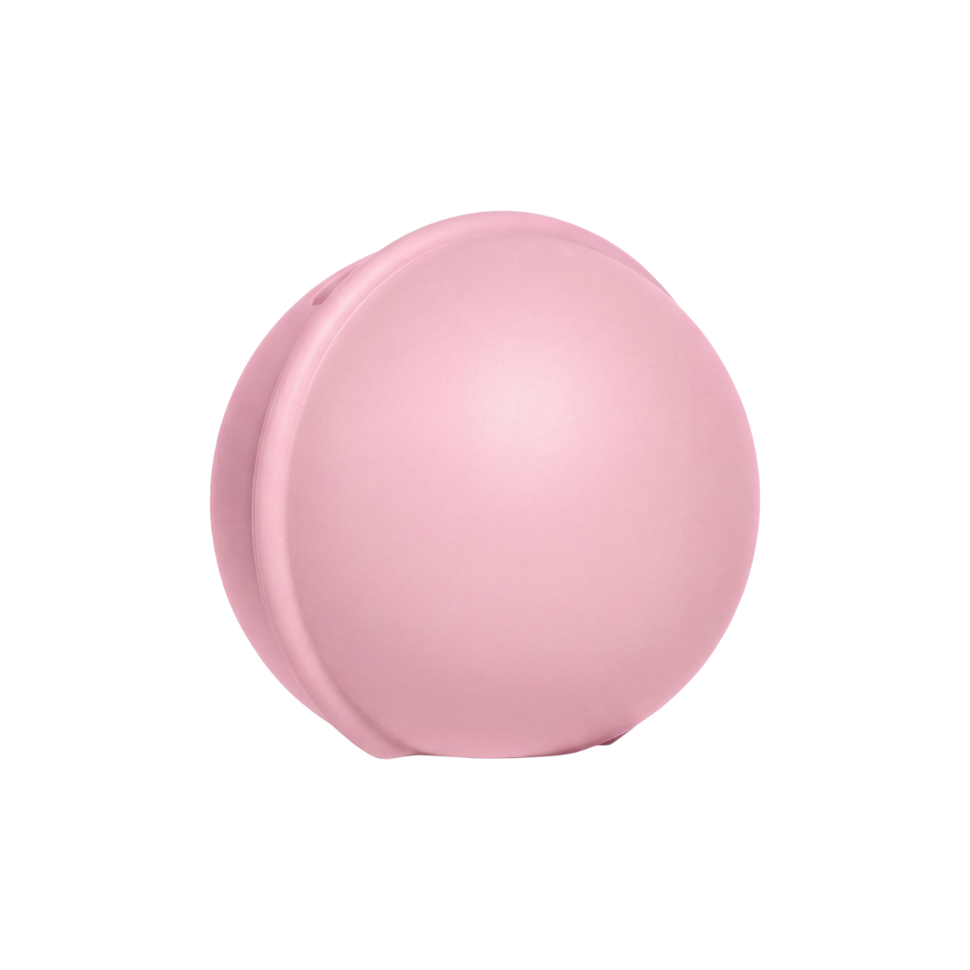Cutie pentru suzeta BIBS Pacifier Case Mini, Baby Pink